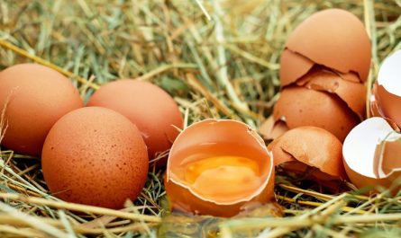 ¿Qué significa soñar con cáscaras de huevo? 10 significados simbólicos