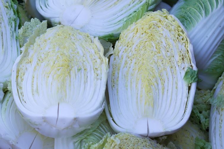 ¿Qué significa soñar con repollo? 14 significados simbólicos