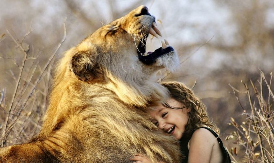 ¿Qué significa soñar con leones? 10 interpretaciones simbólicas