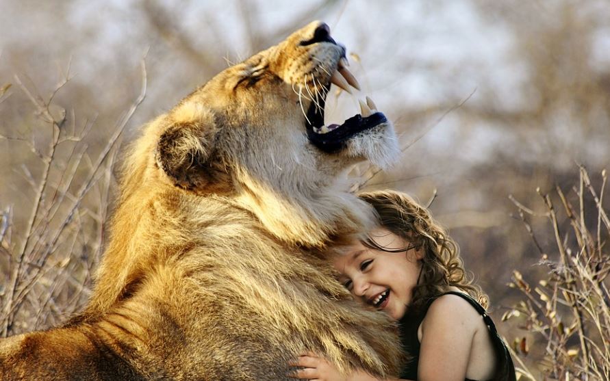 ¿Qué significa soñar con leones? 10 interpretaciones simbólicas