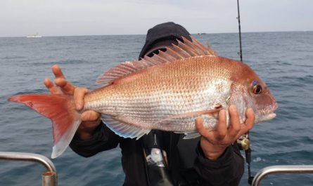 ¿Qué significa soñar con dorada? 7 significados simbólicos
