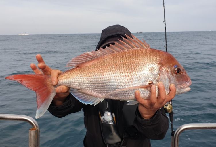 ¿Qué significa soñar con dorada? 7 significados simbólicos