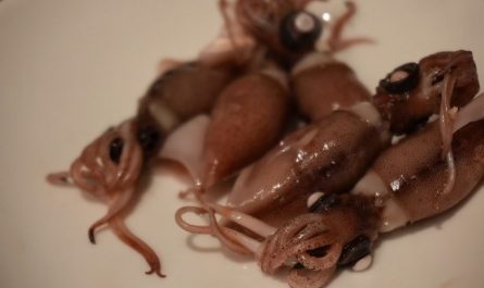 ¿Qué significa soñar con calamares? 5 significados simbólicos