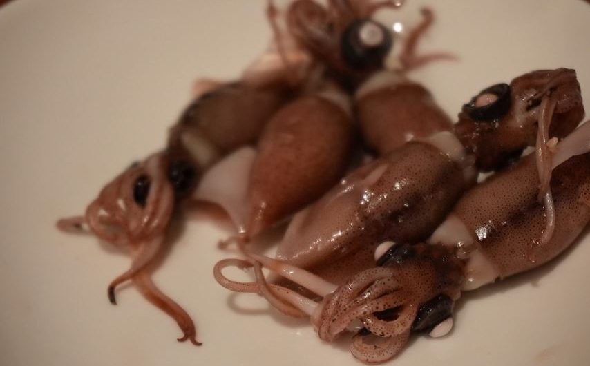 ¿Qué significa soñar con calamares? 5 significados simbólicos