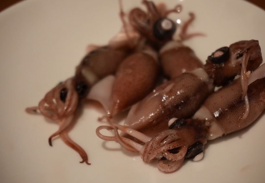 ¿Qué significa soñar con calamares? 5 significados simbólicos