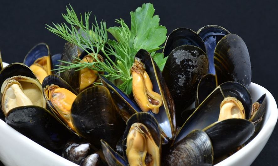 ¿Qué significa soñar con mejillones? 7 significados simbólicos