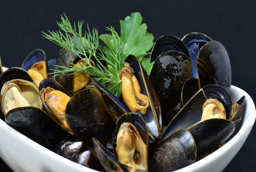 ¿Qué significa soñar con mejillones? 7 significados simbólicos