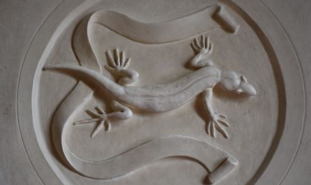 ¿Qué significa soñar con una salamandra? 7 significados simbólicos