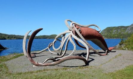 ¿Qué significa soñar con un calamar gigante? 8 significados simbólicos