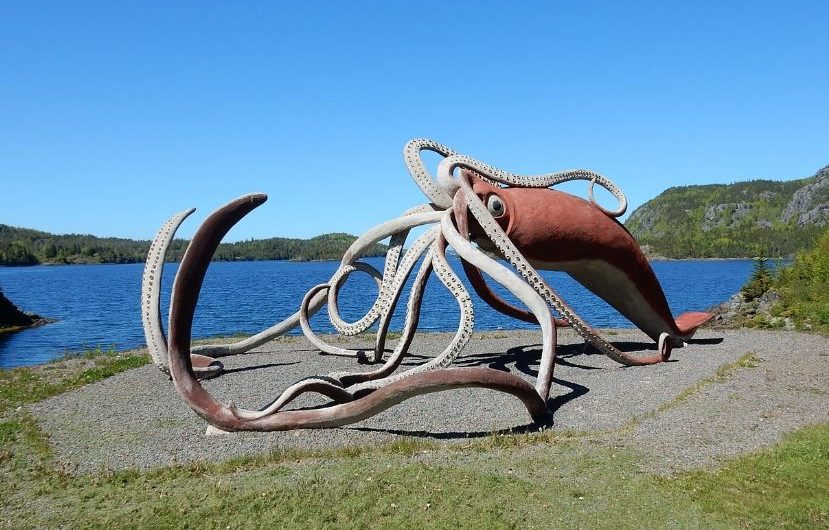 ¿Qué significa soñar con un calamar gigante? 8 significados simbólicos