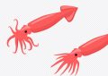 ¿Qué significa soñar con calamares? 10 significados simbólicos