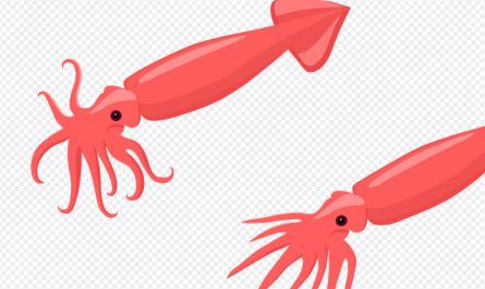¿Qué significa soñar con calamares? 10 significados simbólicos