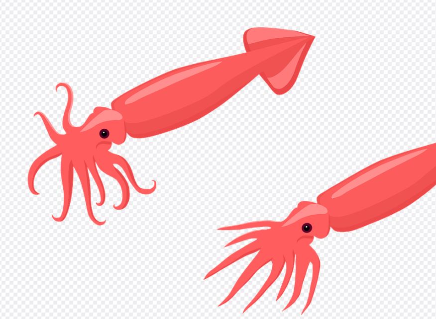 ¿Qué significa soñar con calamares? 10 significados simbólicos