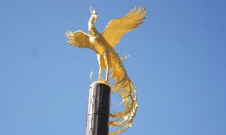 ¿Qué significa soñar con un pájaro dorado? 8 significados simbólicos