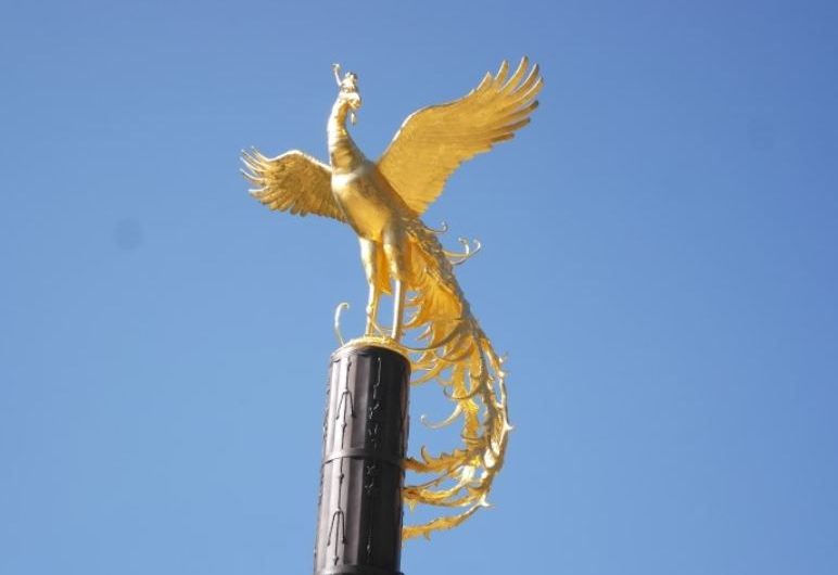 ¿Qué significa soñar con un pájaro dorado? 8 significados simbólicos