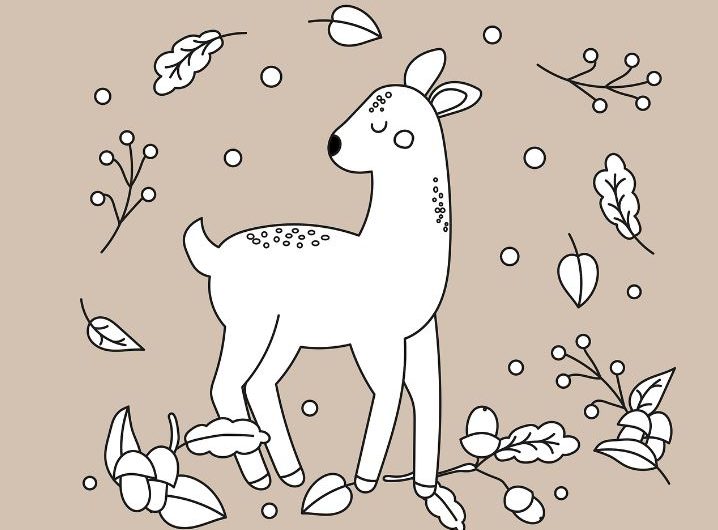 ¿Qué significa soñar con un ciervo blanco? 5 significados simbólicos
