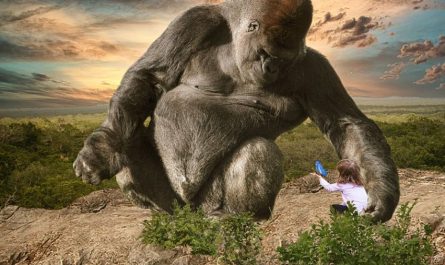 ¿Qué significa soñar con King Kong? 8 significados simbólicos