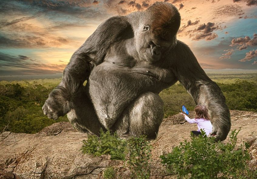 ¿Qué significa soñar con King Kong? 8 significados simbólicos