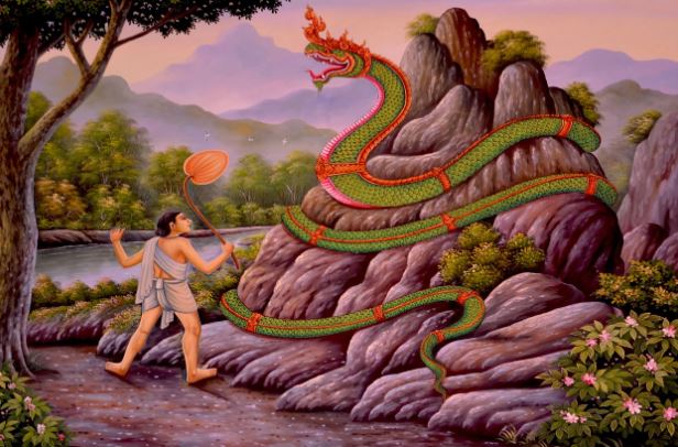 ¿Qué significa soñar con una serpiente venenosa? 10 significados simbólicos