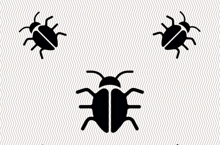 ¿Qué significa soñar con garrapatas? 9 significados simbólicos