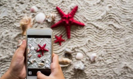 ¿Qué significa soñar con una estrella de mar? 8 significados simbólicos