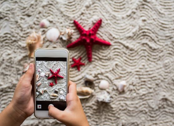 ¿Qué significa soñar con una estrella de mar? 8 significados simbólicos