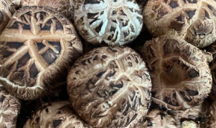 ¿Qué significa soñar con setas shiitake? 7 significados simbólicos