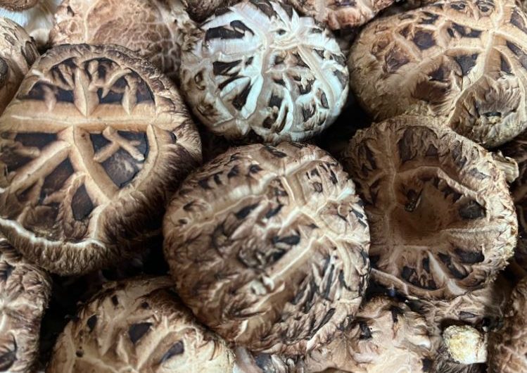 ¿Qué significa soñar con setas shiitake? 7 significados simbólicos