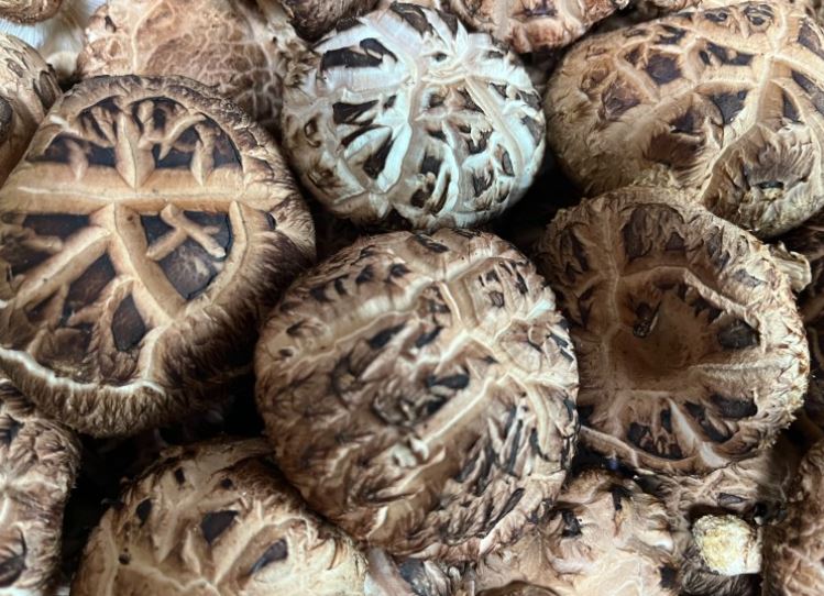 ¿Qué significa soñar con setas shiitake? 7 significados simbólicos