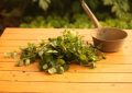 ¿Qué significa soñar con cilantro? 7 significados simbólicos