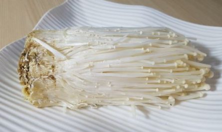 ¿Qué significa soñar con setas enoki? 7 significados simbólicos