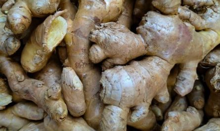¿Qué significa soñar con jengibre?