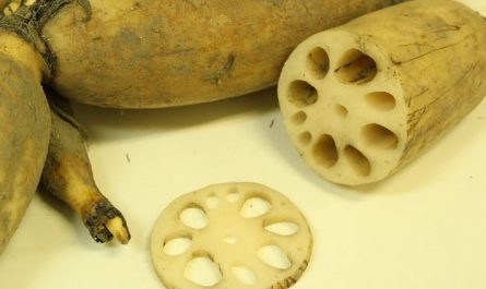 ¿Qué significa soñar con raíces de loto?