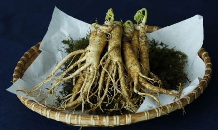 ¿Qué significa soñar con ginseng?
