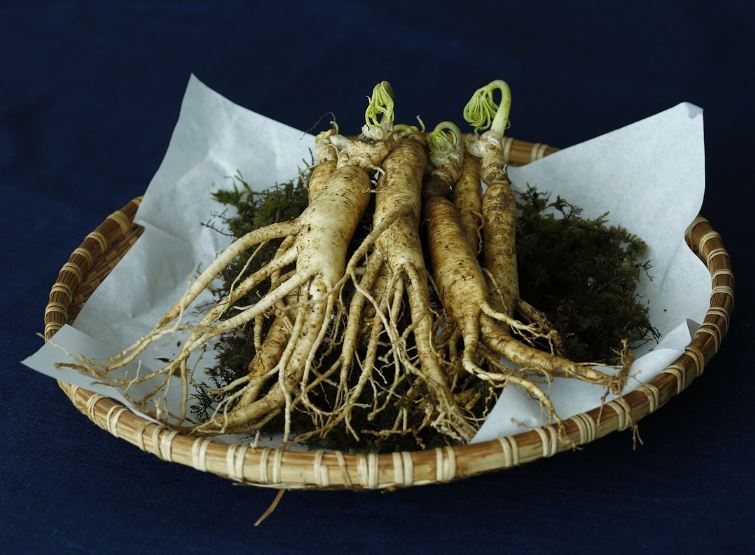 ¿Qué significa soñar con ginseng?