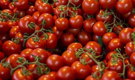 ¿Qué significa soñar con tomates cherry?