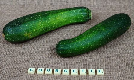 ¿Qué significa soñar con calabacines?