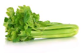 14 種適合流通的食物