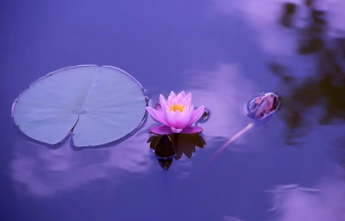 夢見亞洲的含義