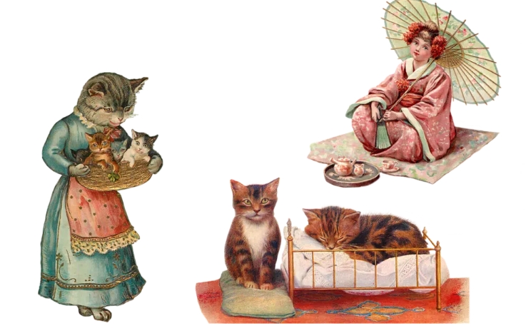 夢見圍裙的多種含義和象徵