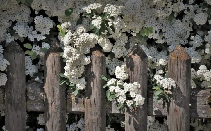 夢見四月的多種含義和象徵