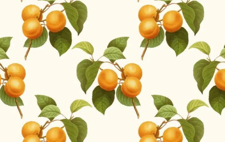 夢見杏子的多種含義和象徵