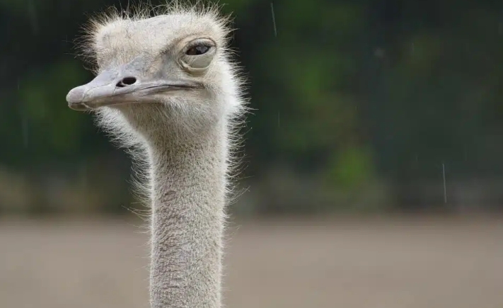 夢見生氣的多種含義和象徵