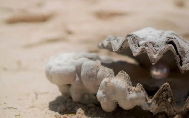 夢見腳鍊的多種含義和象徵