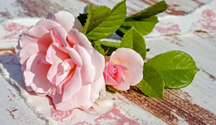 夢見多情的多種含義和象徵